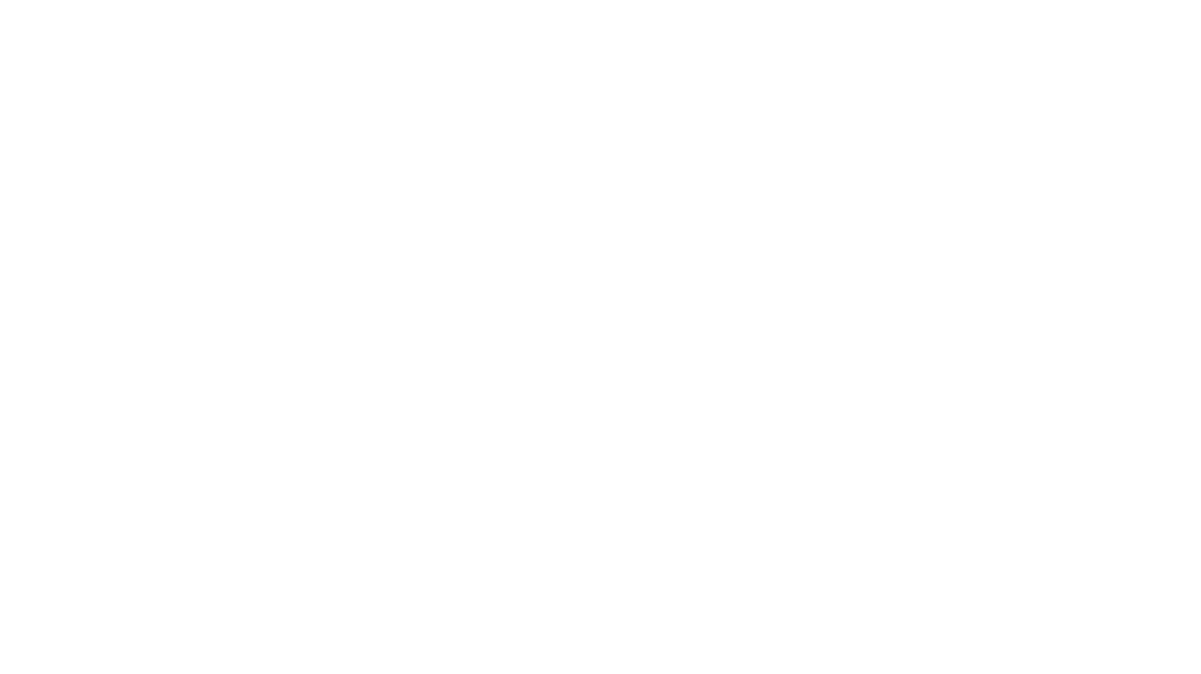 Avila Peak Partners